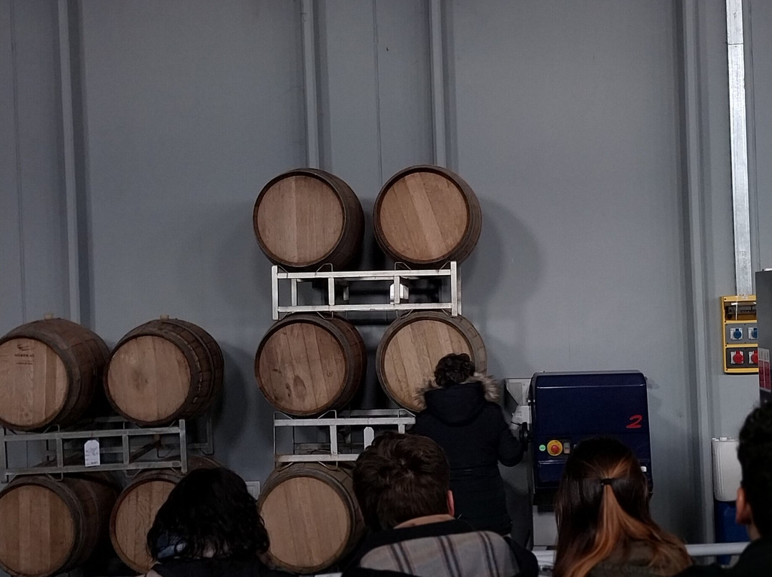 Wapisa Winery-Viedma必去景点