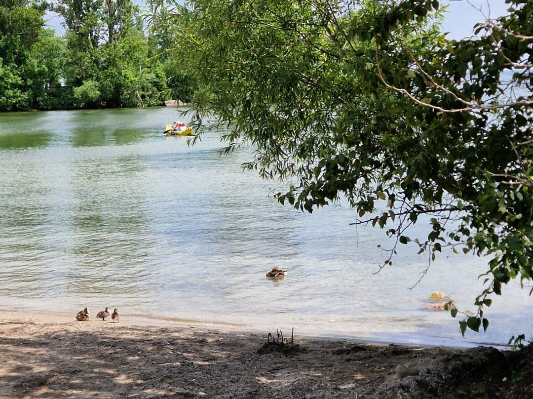 Four Points By Sheraton Barrie主图