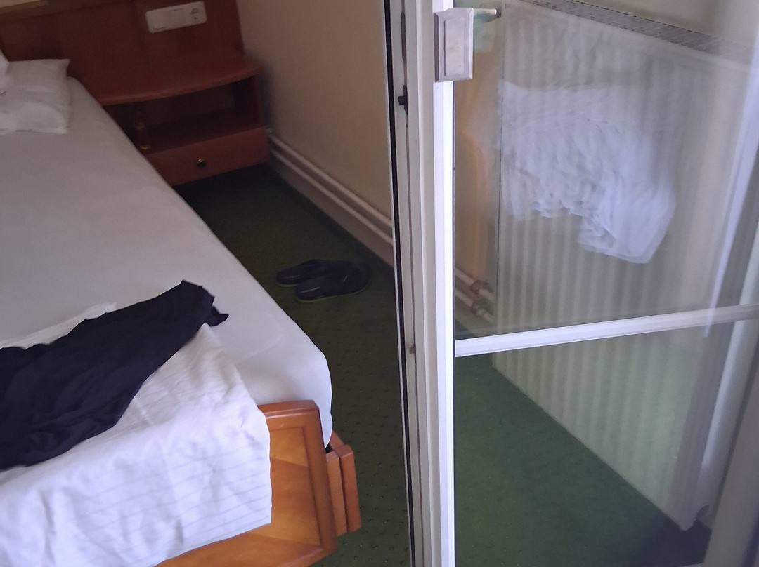 Hotel Birkenhof am See主图