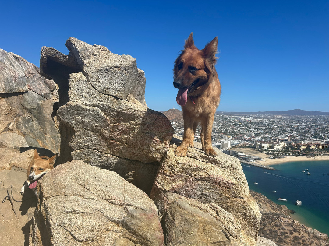 Mt. Solmar-卡波圣卢卡斯必去景点