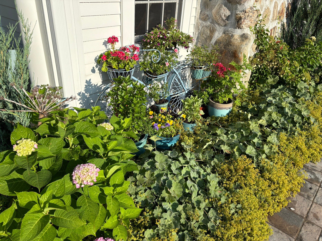 The Millbrook Inn主图