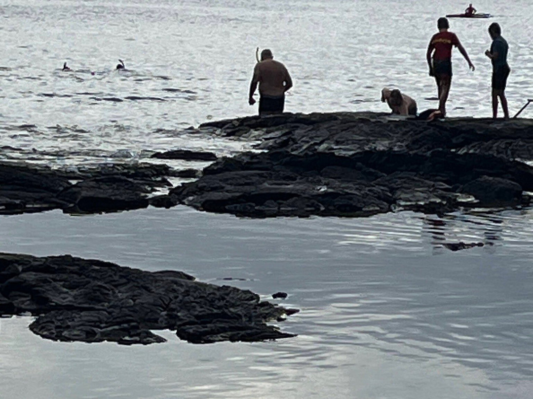 Two Step-库克船长必去景点