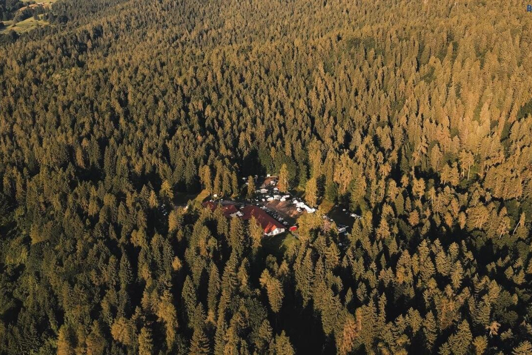 Forest Camp Val Di Gresta