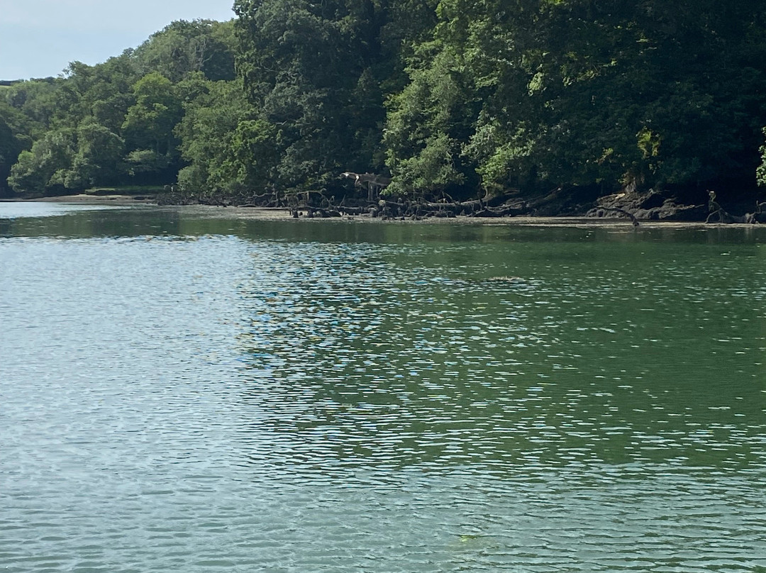Helford River Cruises-Mawnan Smith必去景点