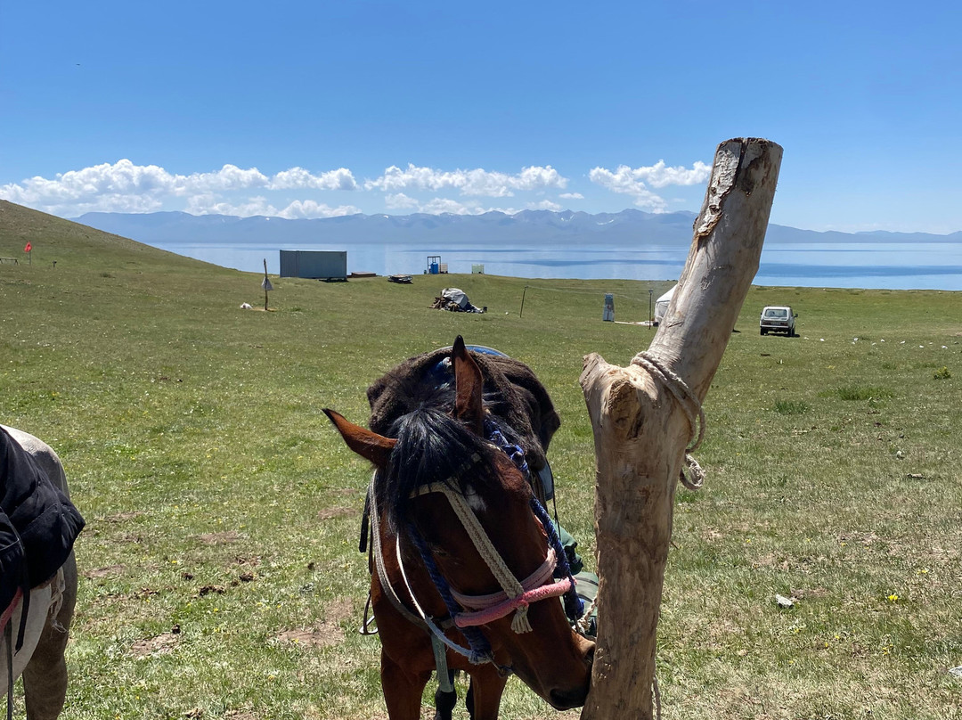 Askar Horse Riding Tour-Kyzart必去景点