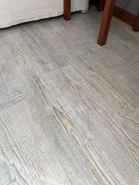 Oasis Praiamar主图