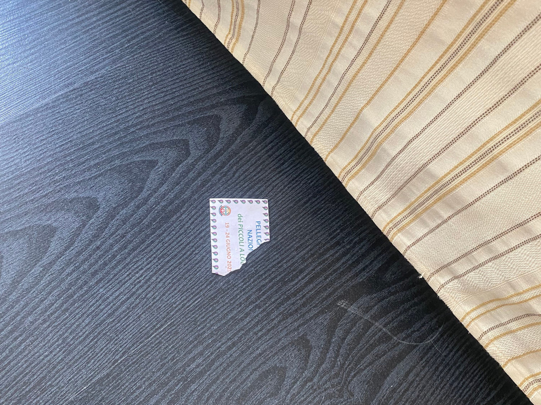 Hotel Florence主图