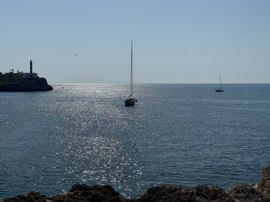 BelleVue Belsana主图