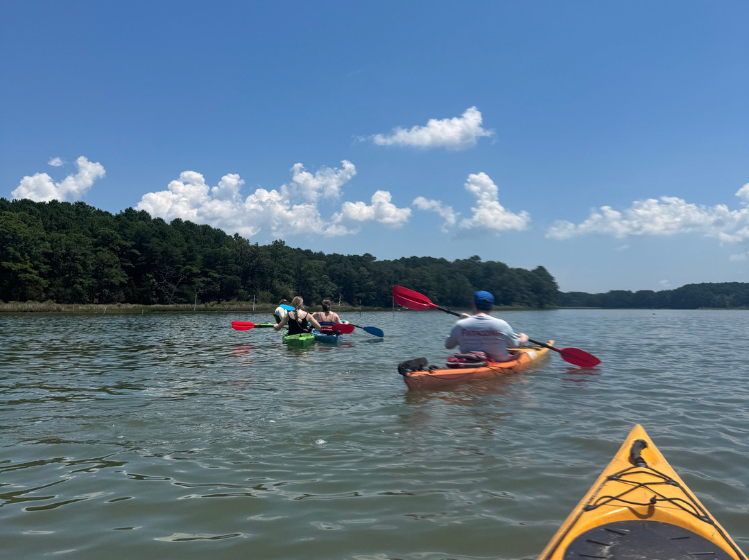 SouthEast Expeditions-Cape Charles必去景点