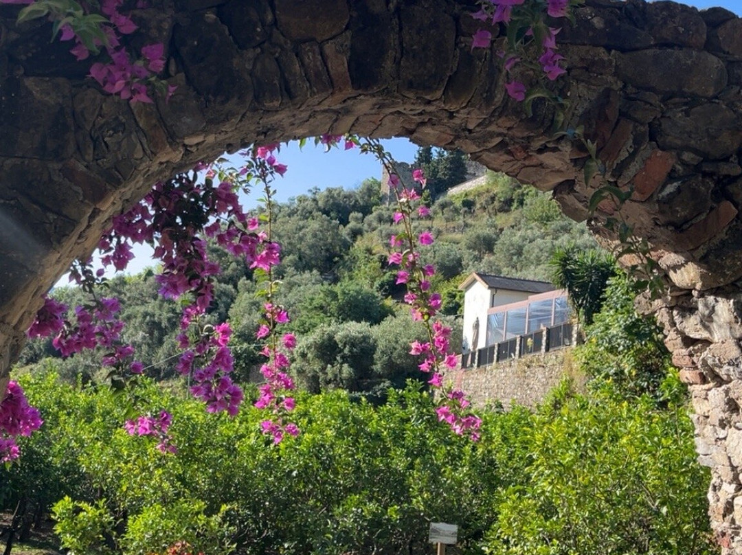 Buranco Agriturismo-滨海蒙特罗梭必去景点
