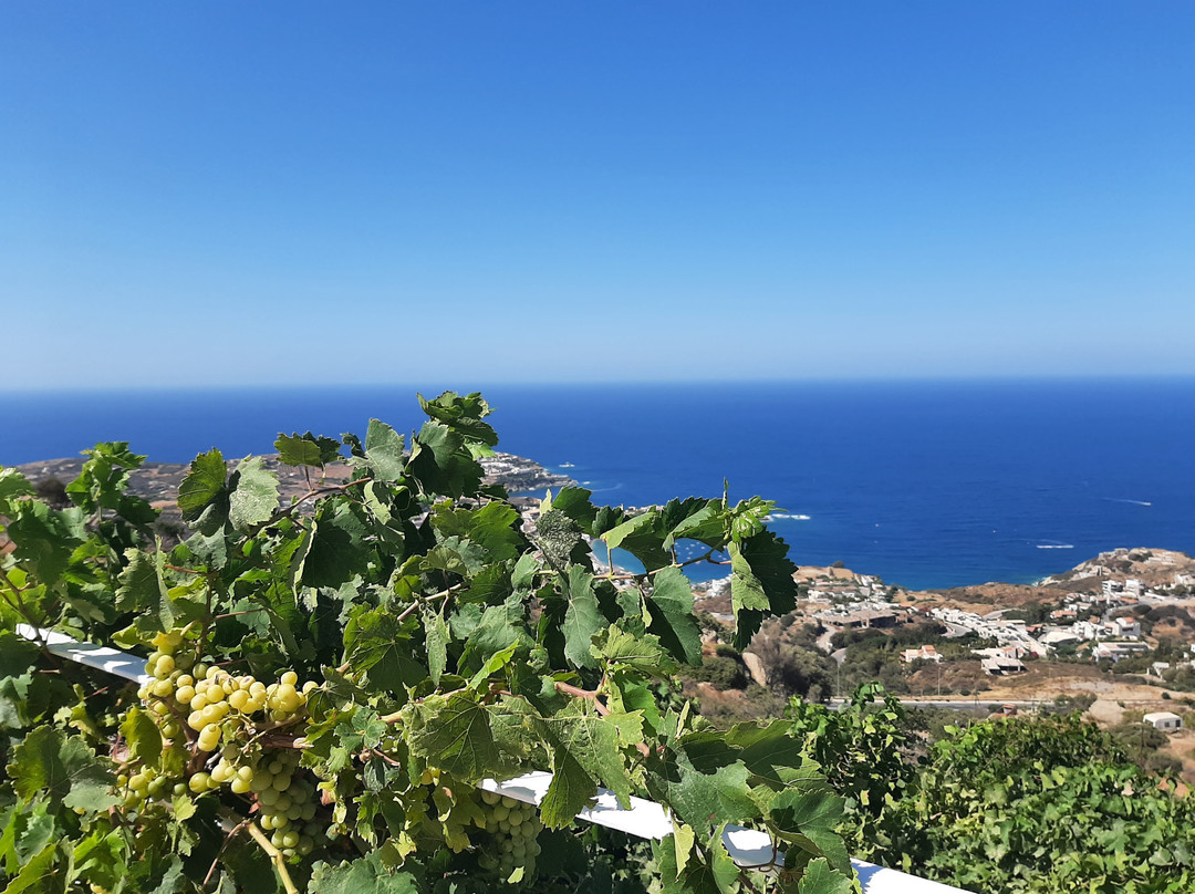 Nymphes Luxury Apartments主图