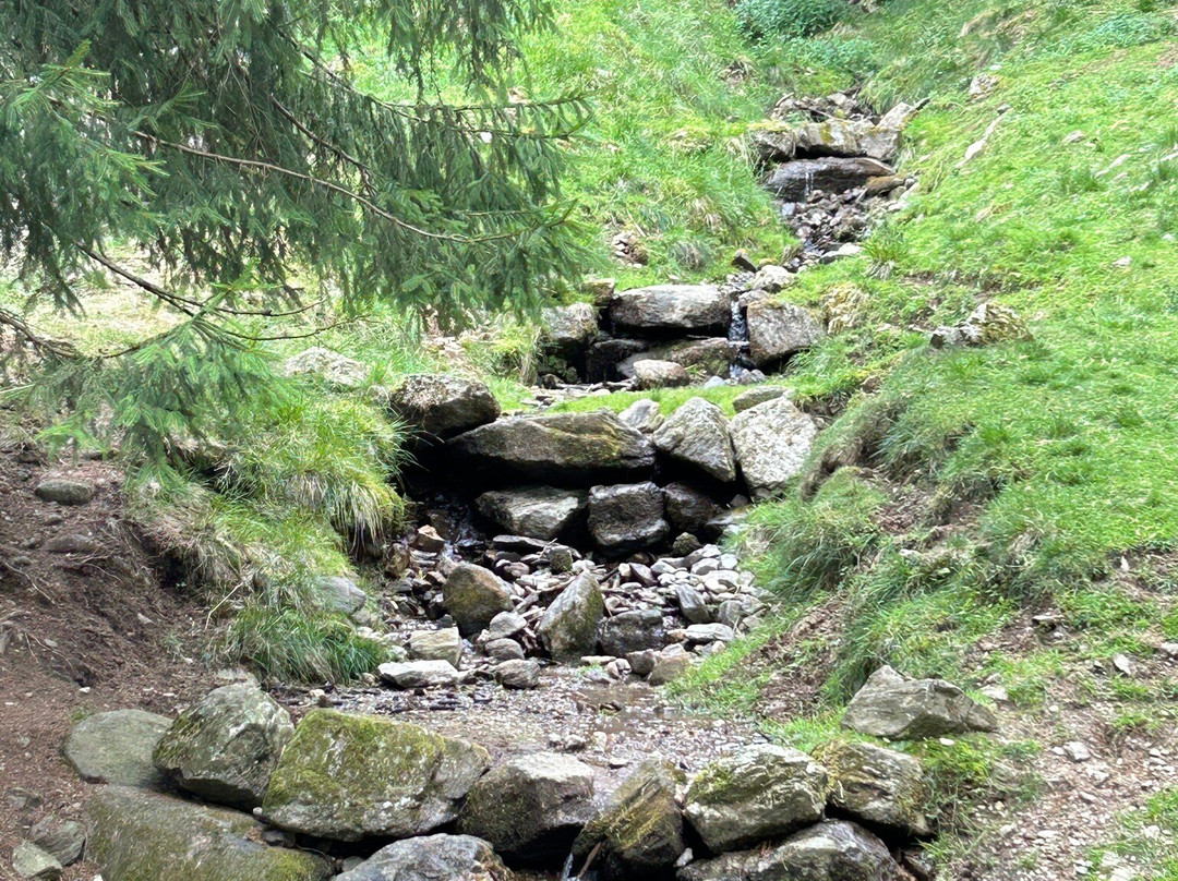 Alpen Wildpark-Feld am See必去景点