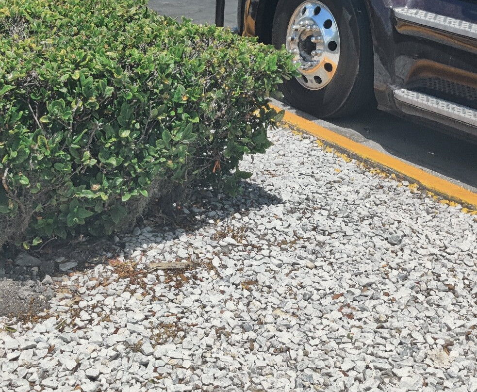 Hampton Inn & Suites Ft. Lauderdale/miramar主图