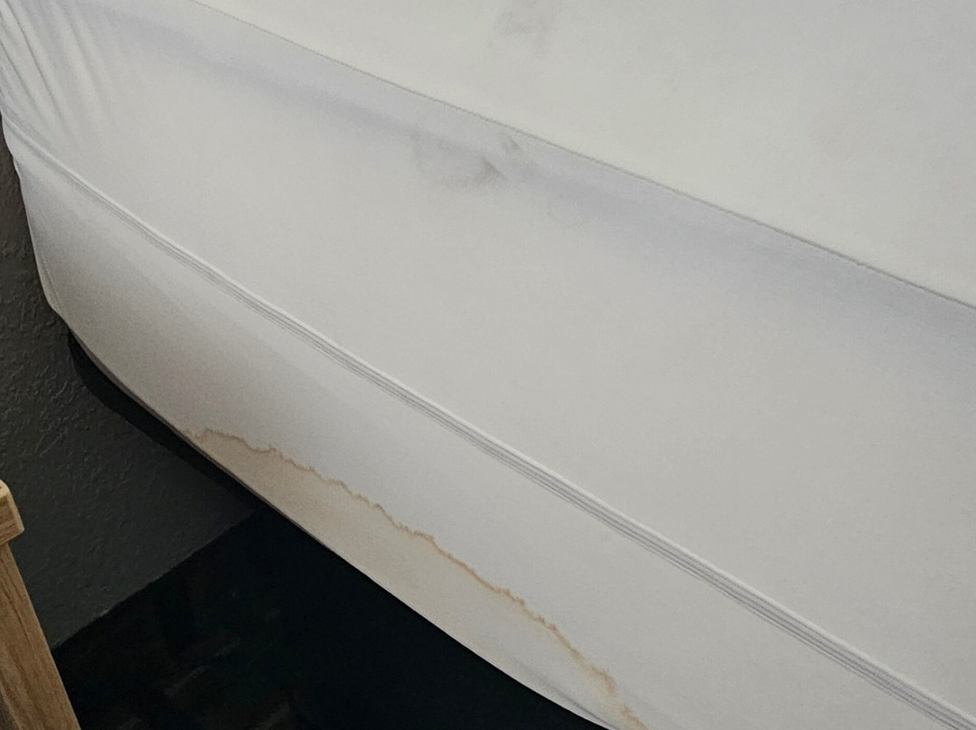 Super 8 by Wyndham Logansport主图