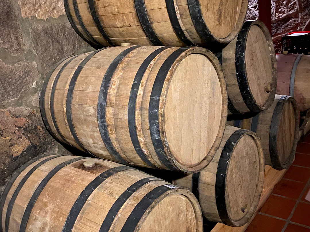 Vinedo Umana Dajud-莱瓦镇必去景点