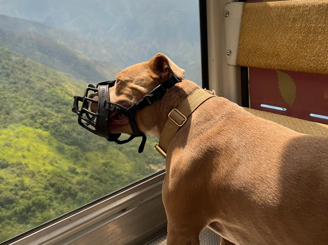 Parque Nacional de Chicamocha-Umpala必去景点