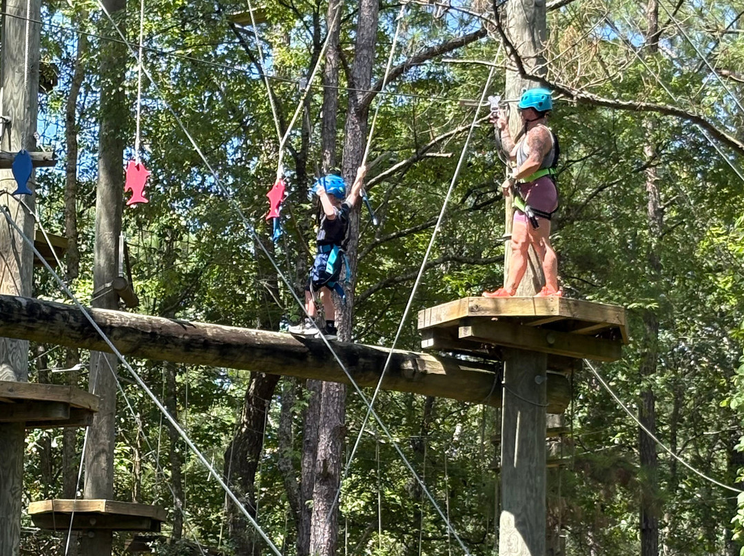 The Swamp Park-Ocean Isle Beach必去景点