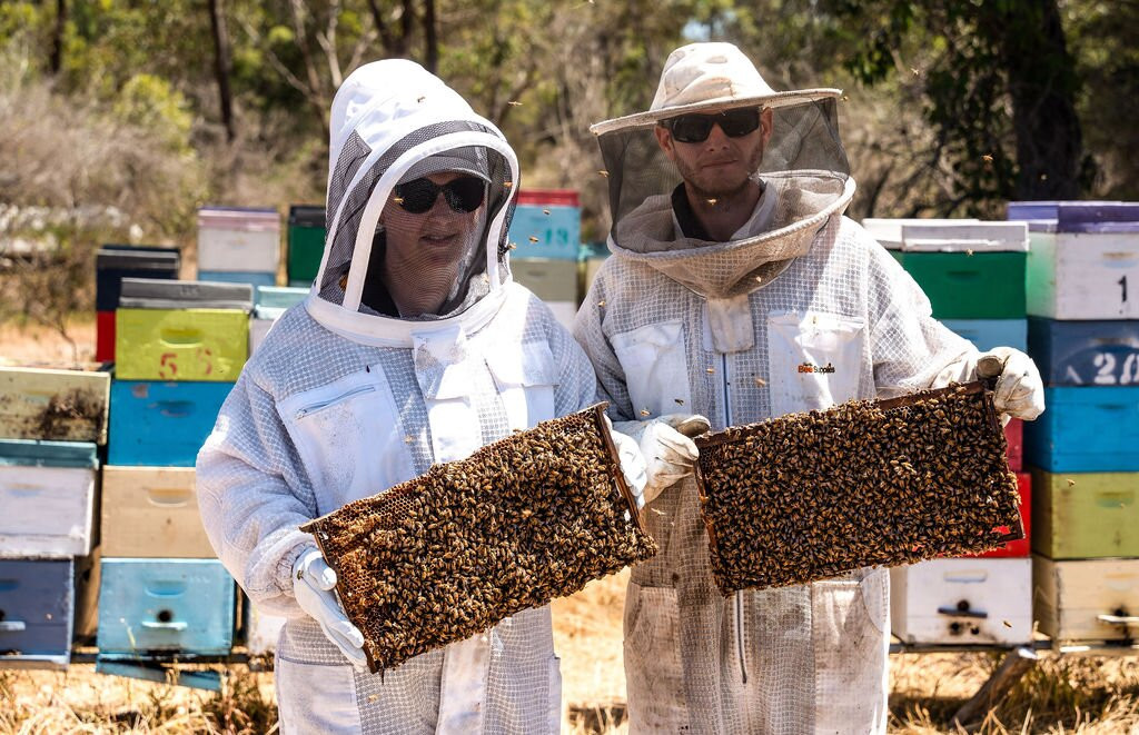 Piesseful Bees Honey-珀斯必去景点