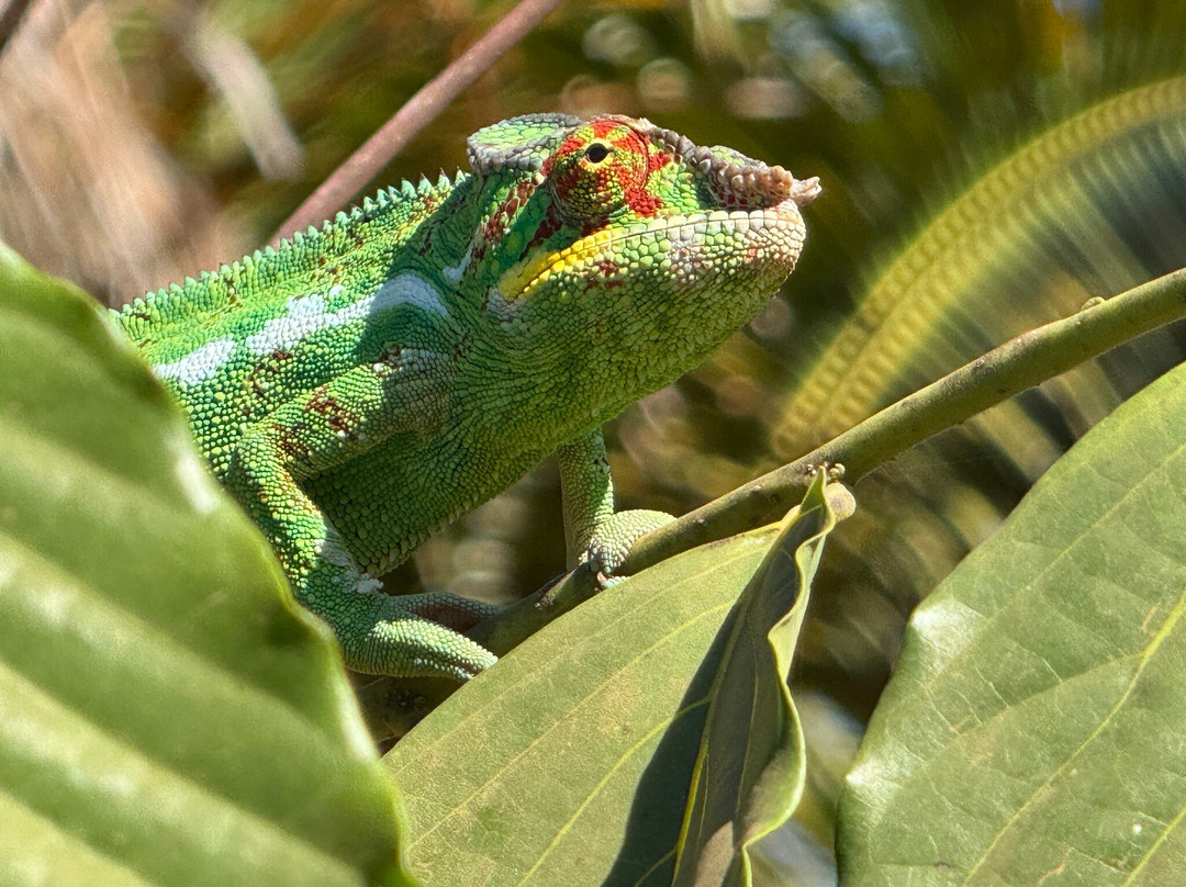 Soul of Madagascar Tours-Toamasina (Tamatave)必去景点
