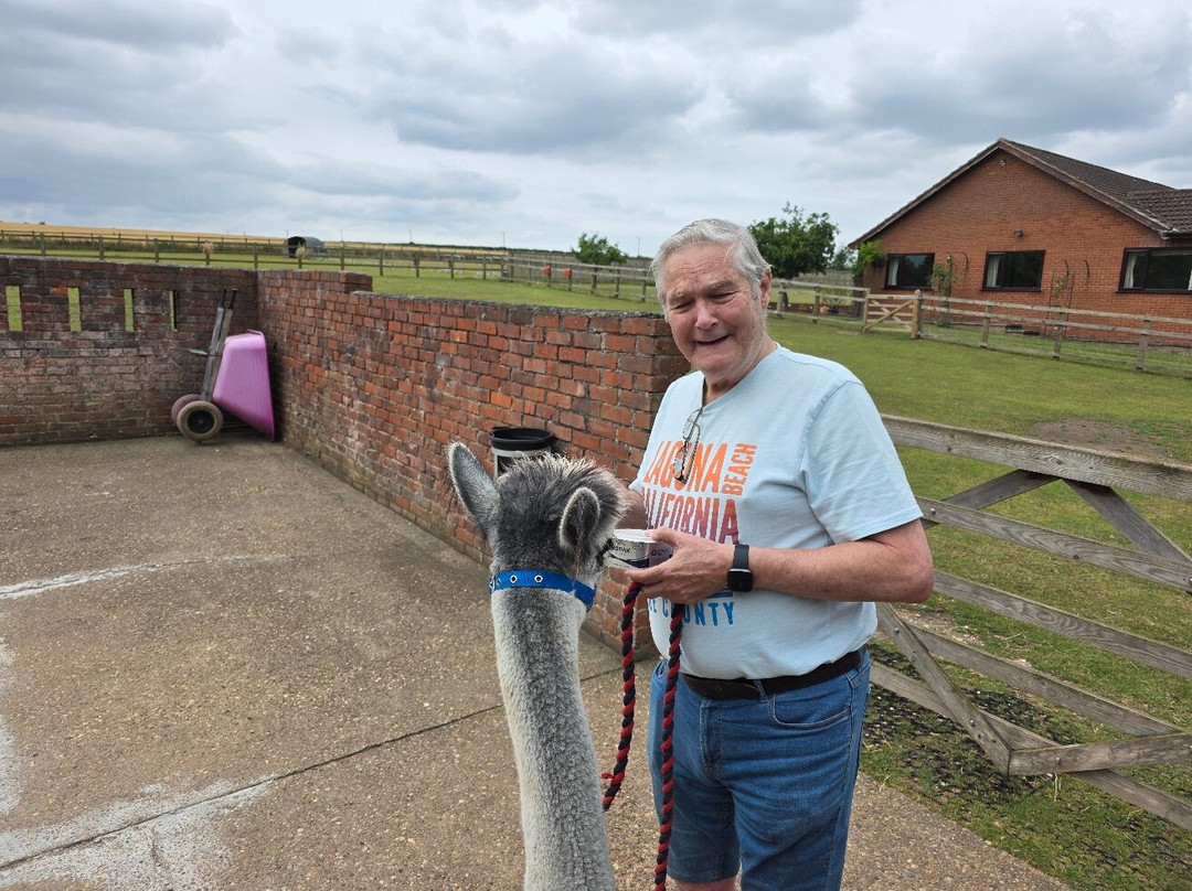 Westfield Alpacas-Barton-upon-Humber必去景点