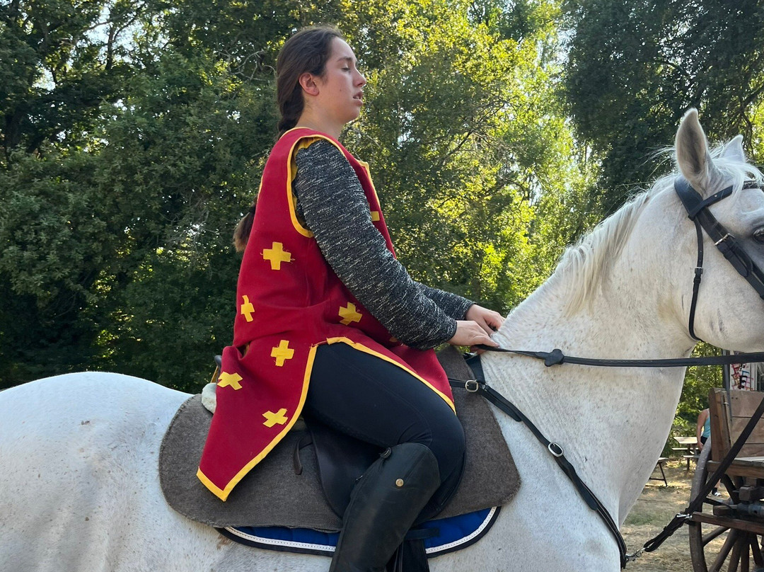 La Bataille de Castillon-Castillon-la-Bataille必去景点