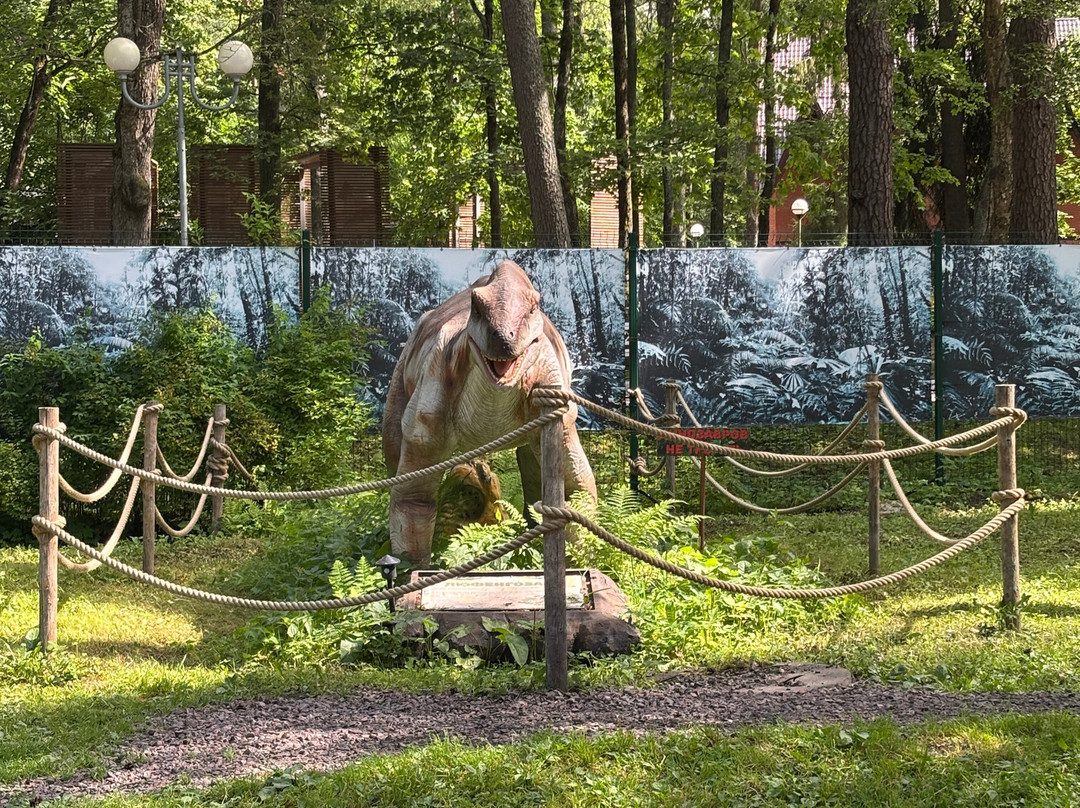 Zelenogorsk Recreation Park-泽列诺戈尔斯克必去景点
