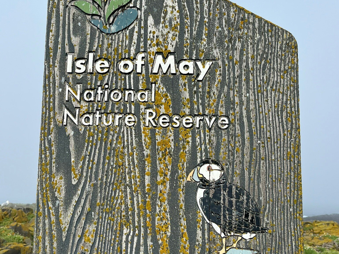 Isle of May National Nature Reserve-Anstruther必去景点