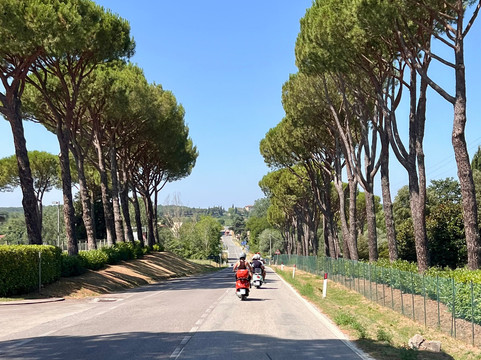 Bespoke Tuscany-佛罗伦萨必去景点