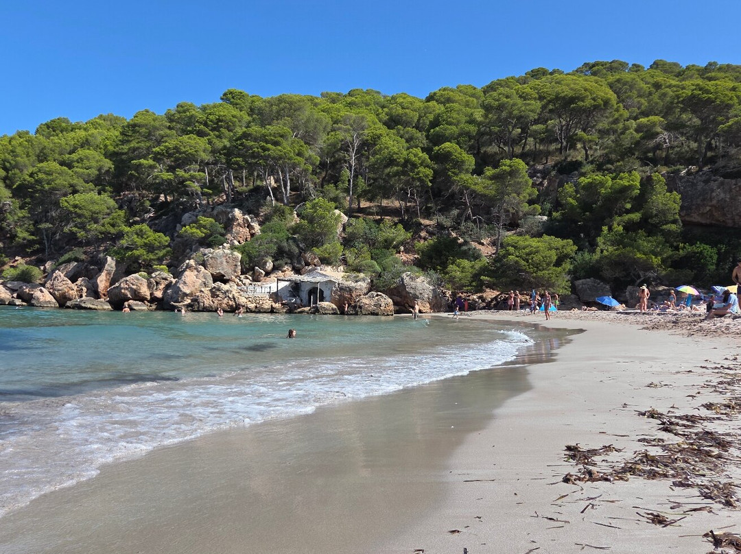 Cala Algaierens-休达德亚必去景点