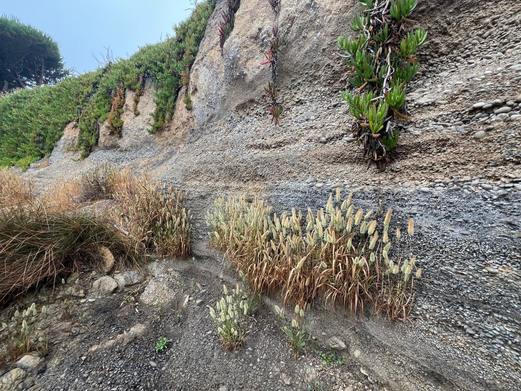The Shelter Cove Oceanfront Inn-官方