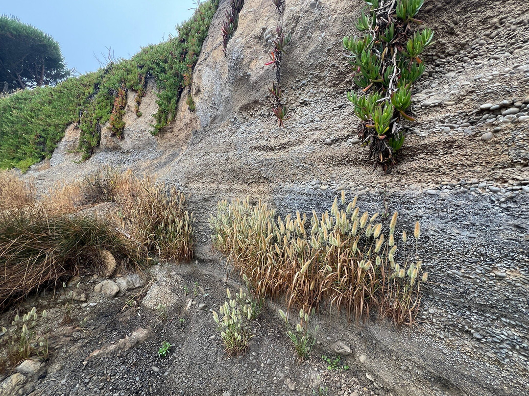 The Shelter Cove Oceanfront Inn主图