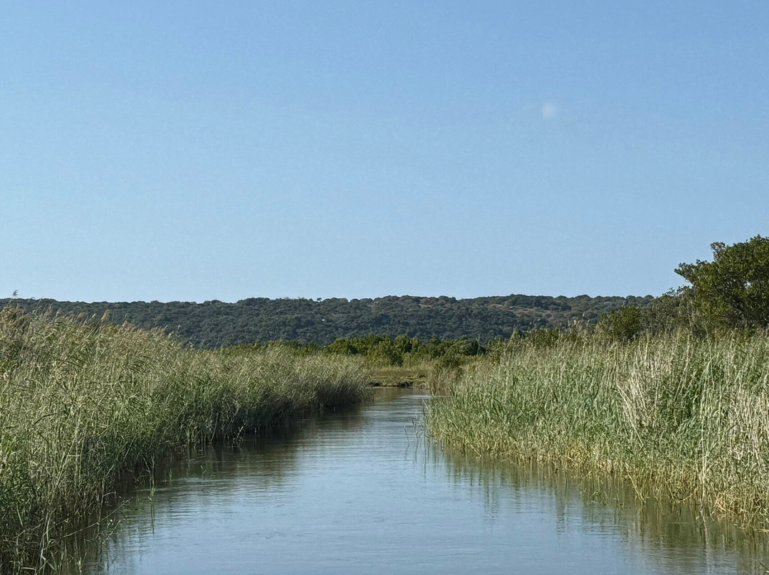 Kosi Bay Nature Reserve-Kosi Bay必去景点