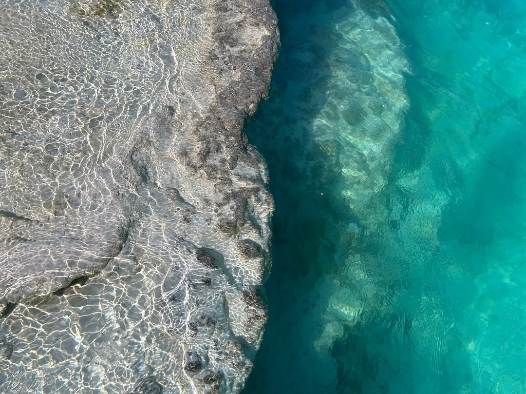 Stromatolites in Bacalar Rapids-Bacalar必去景点
