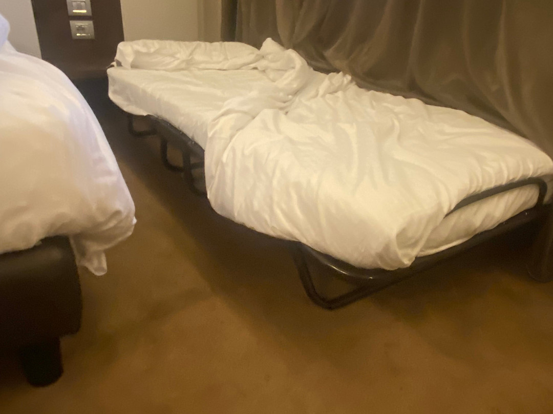 艾尔伯格狄拉吉酒店主图