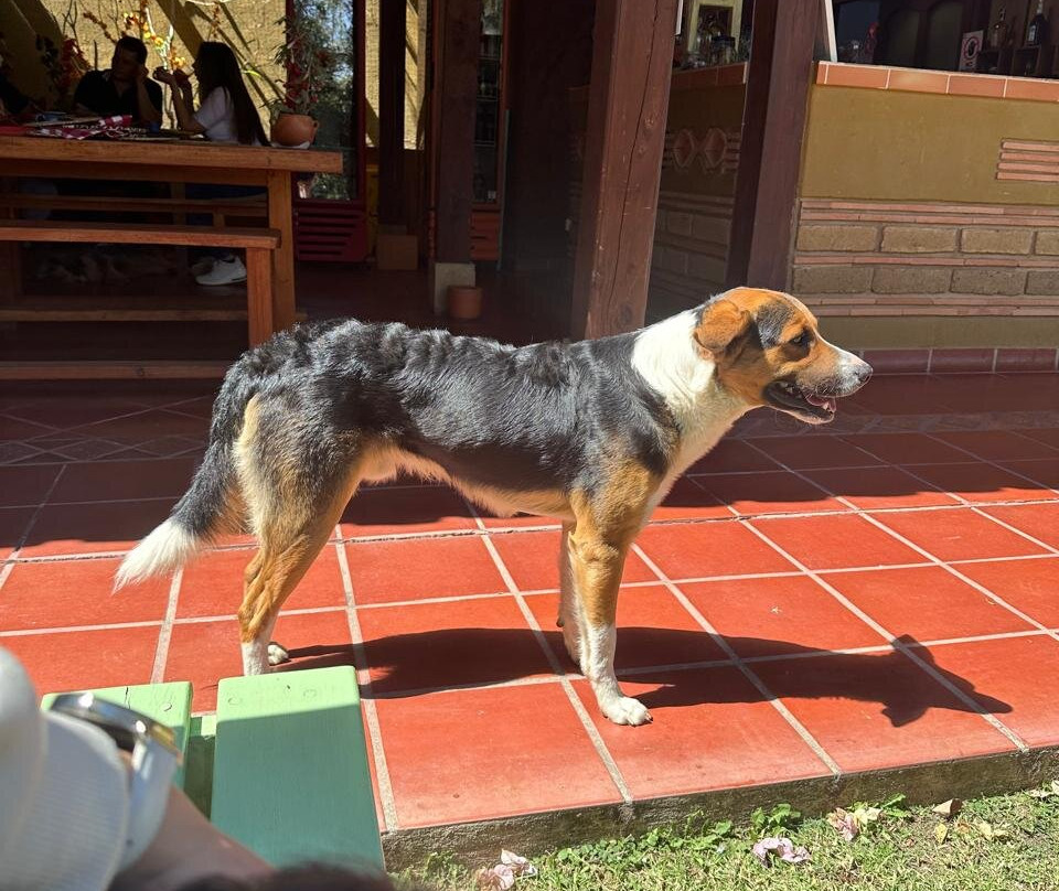 Voyaca Alojamiento y Alfarería主图