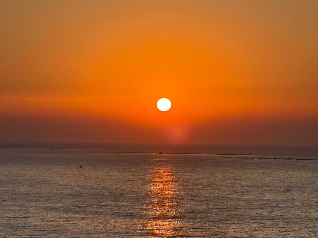 Vitalica Wellness主图