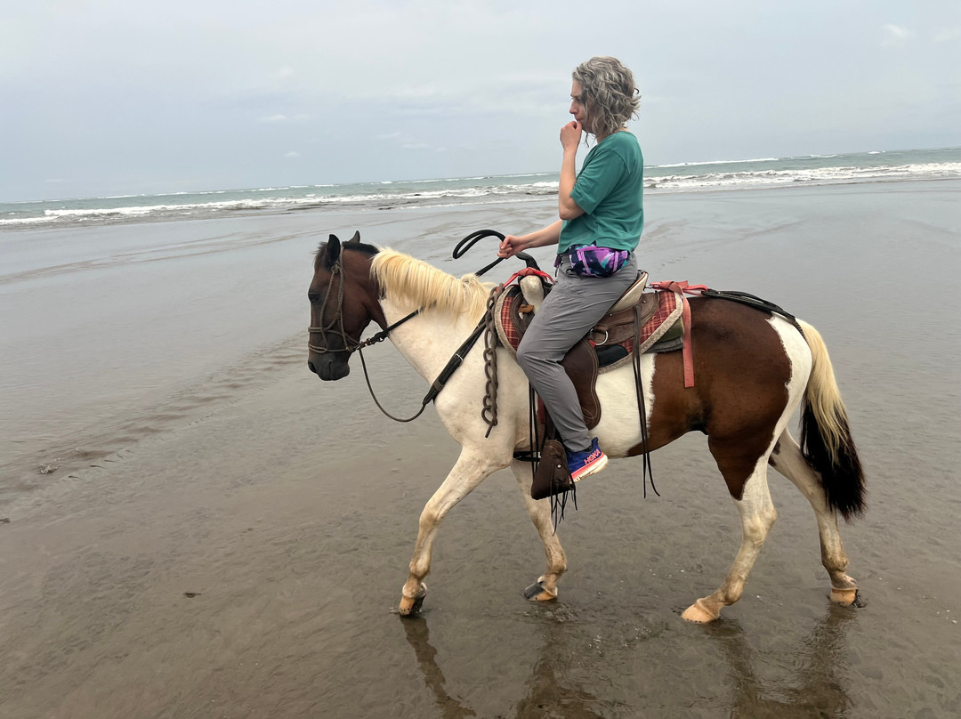 Horizonte Horse Experience-Playa Hermosa必去景点