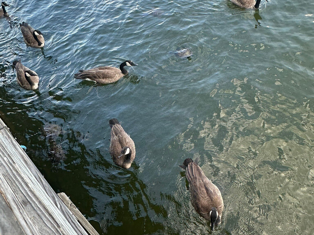 Baymont by Wyndham Hot Springs On the Lake主图