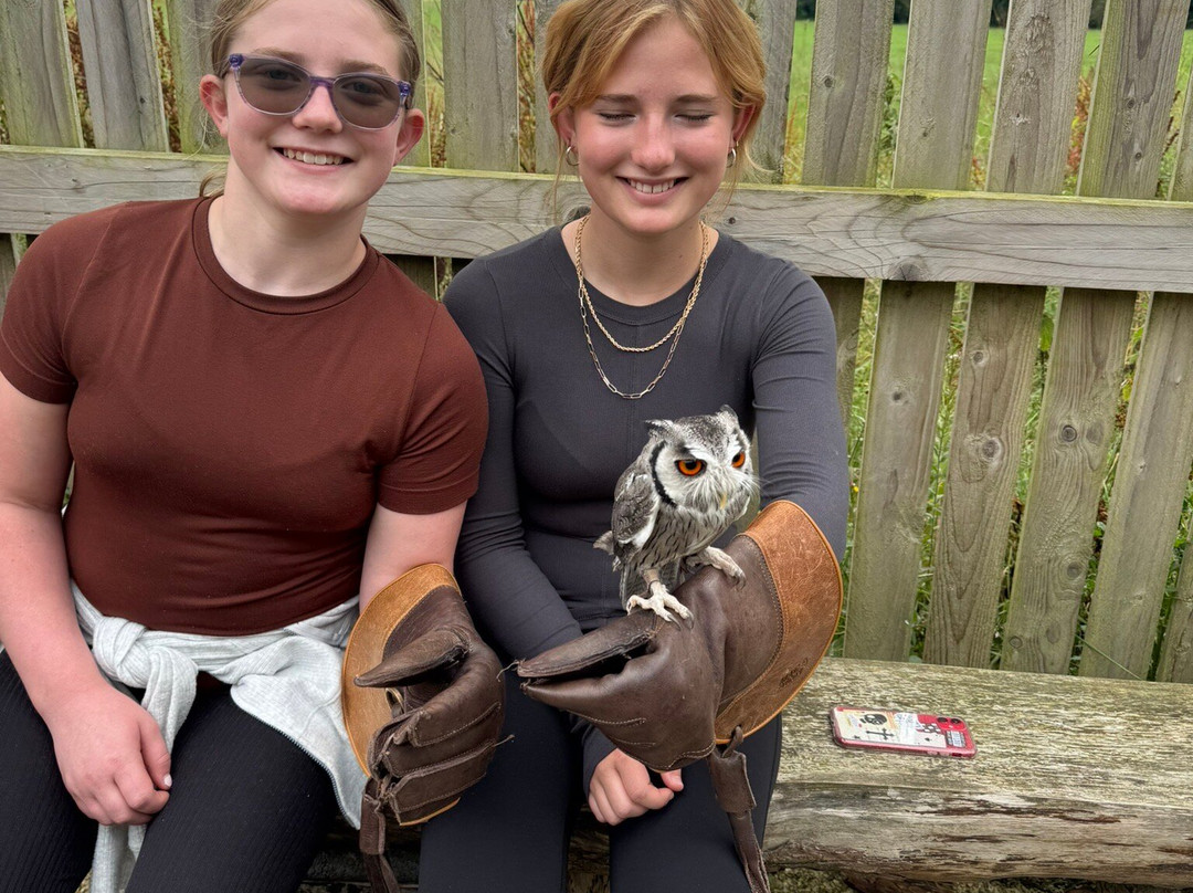 Hawkeye School of Falconry-基尔肯尼必去景点