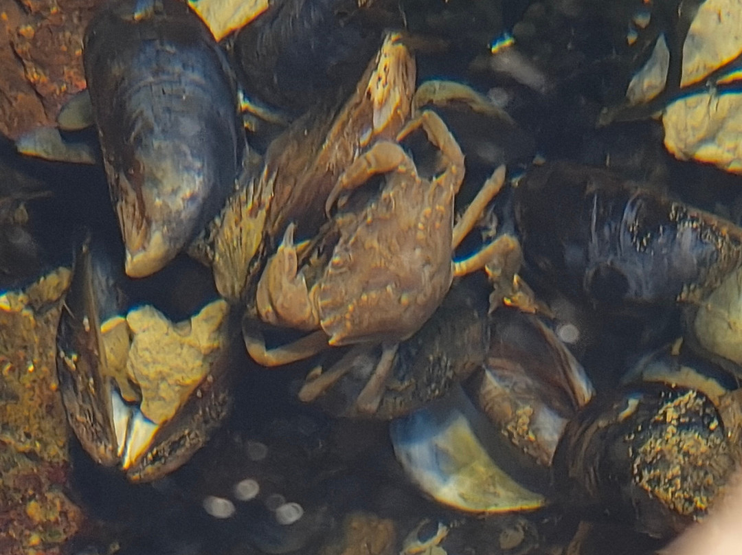 Fundación Ecocentro-马德林港必去景点