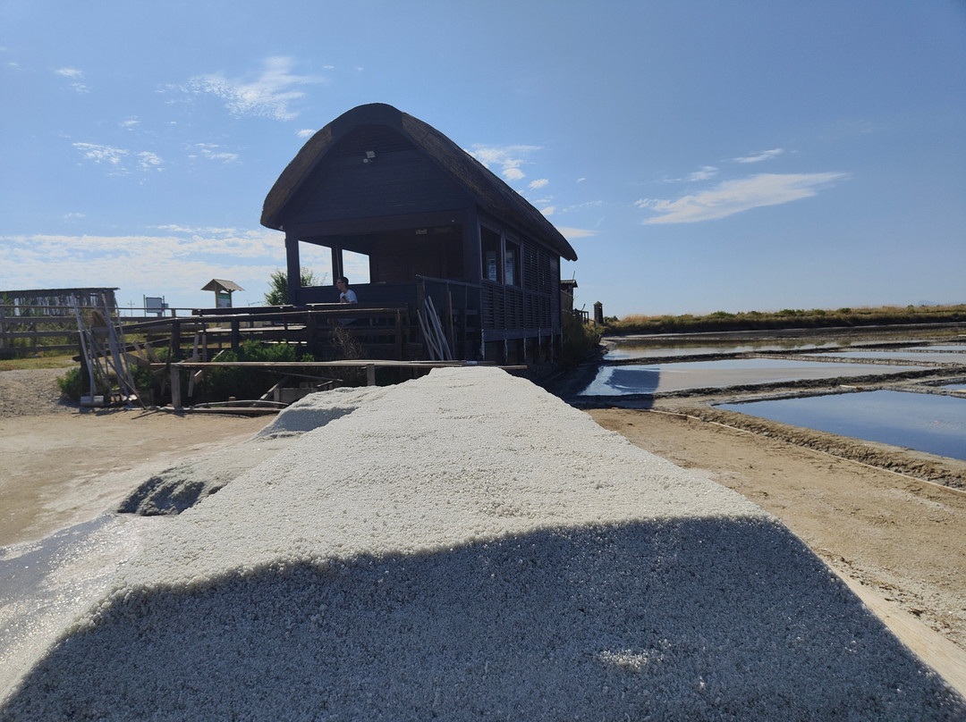 Salina Camillone-切尔维亚必去景点