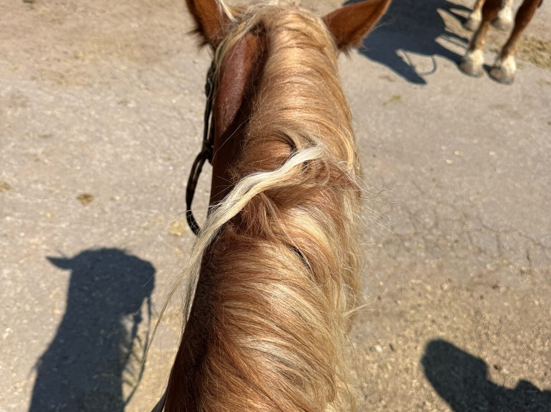 Red Pine Adventures-帕克城必去景点