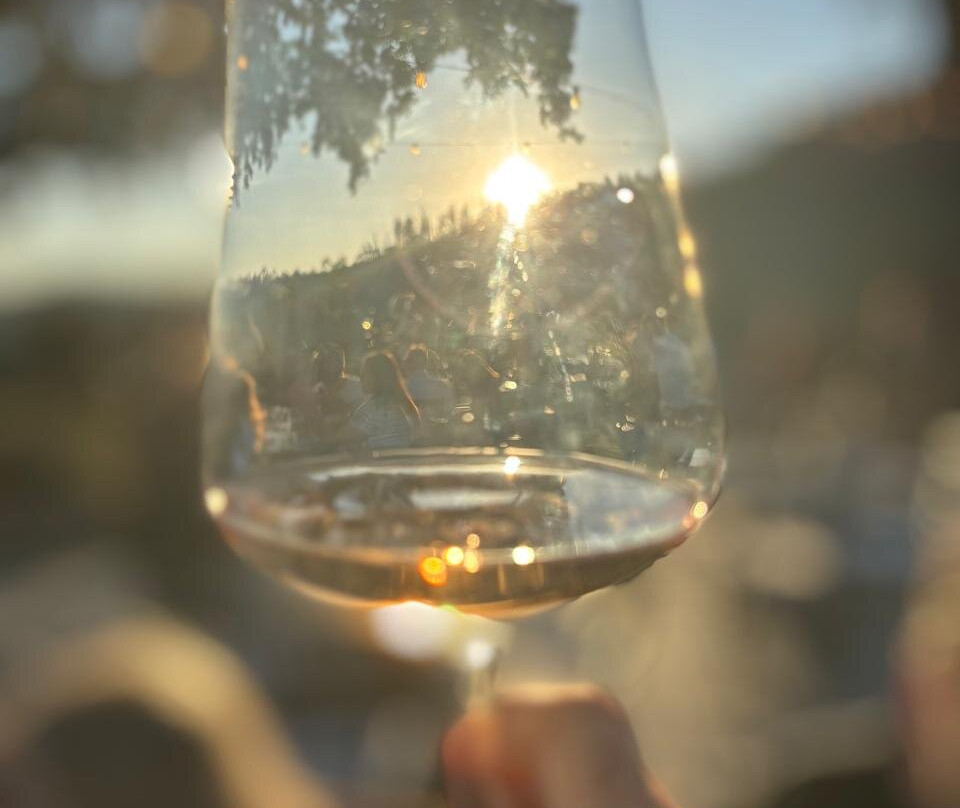 Vinícola Merum-Espirito Santo Do Pinhal必去景点