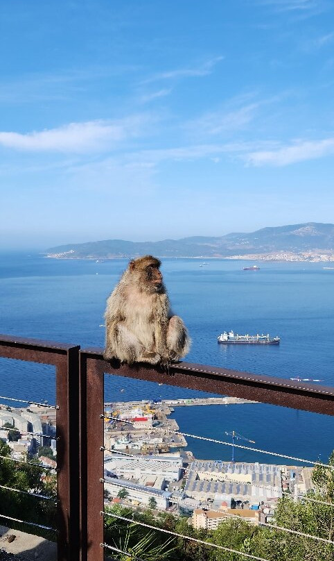 Visit Gibraltar-Gibraltar Town必去景点