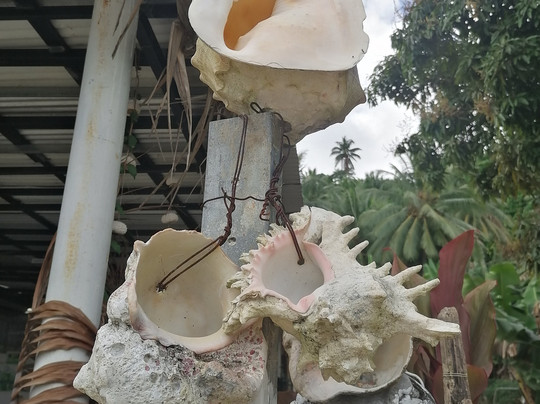 Vanilla Prod's Shop-塔哈岛必去景点