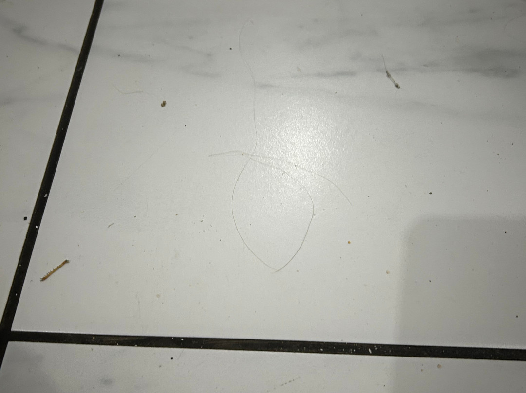 Guest House Weiss主图