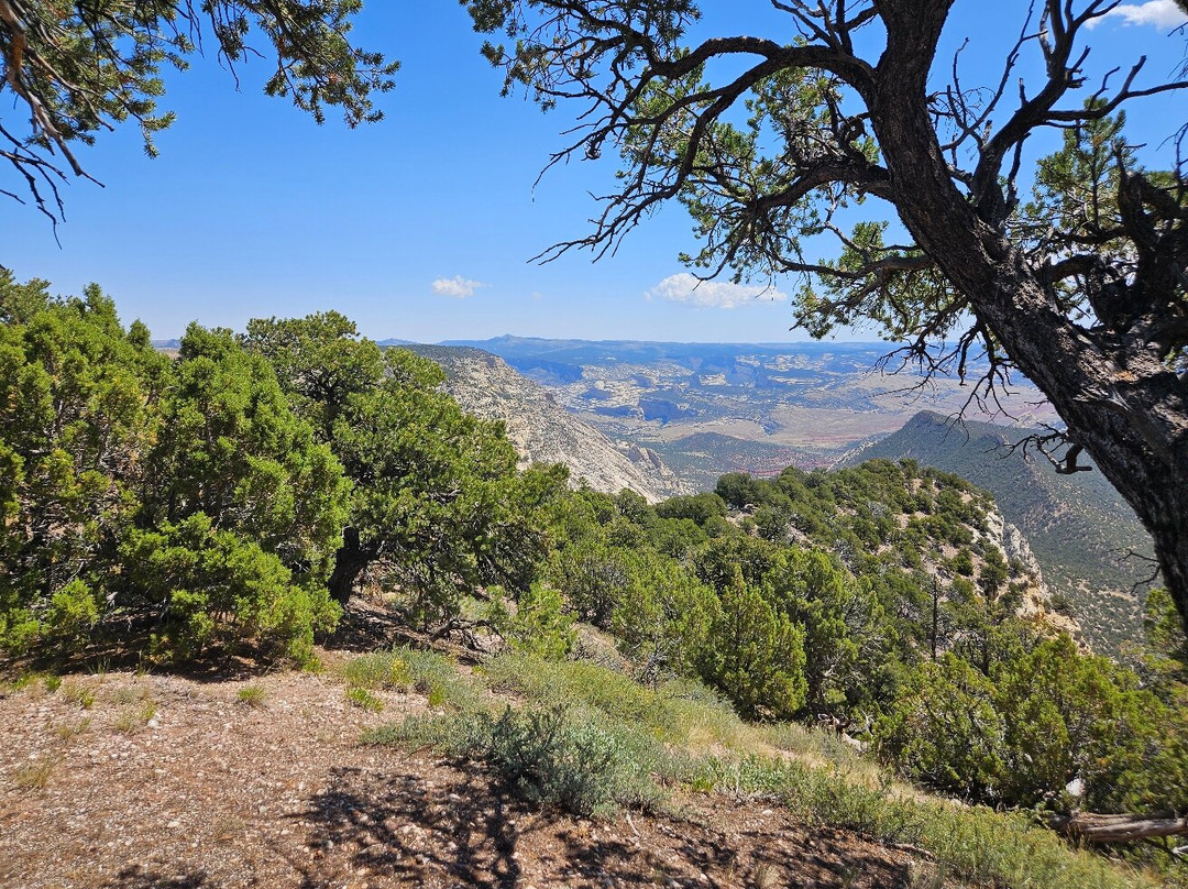 Dinosaur National Monument-Dinosaur必去景点