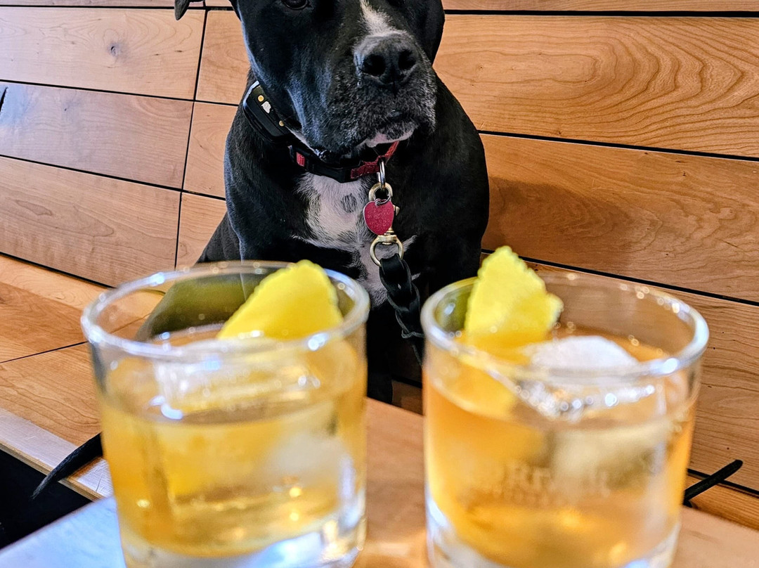 Mad River Distillers Burlington-伯灵顿必去景点