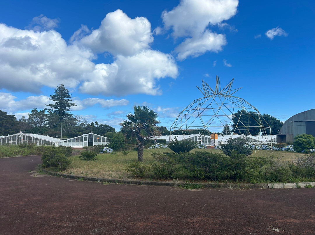Plantação de Ananás dos Açores-蓬塔德尔加达必去景点