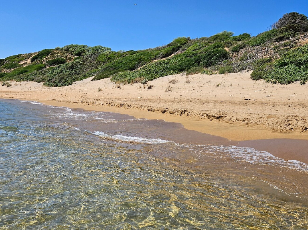 Spiaggia dei Gigli-Isola di Capo Rizzuto必去景点